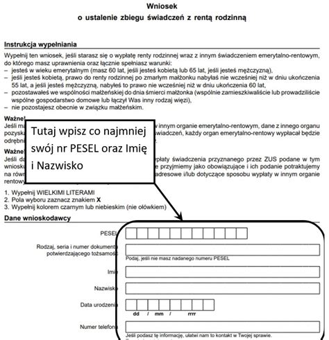 Proces składania wniosku o rentę w ZUS
