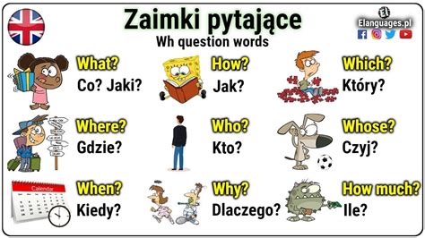 Ilustracja przedstawiająca różne zaimki nieokreślone z tłumaczeniem na język polski.