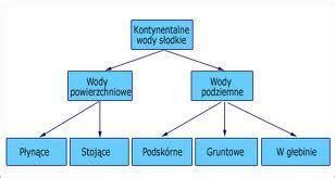 Schemat przedstawiający podział cen apartamentów nad morzem według lokalizacji