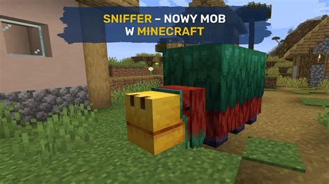 Przykładowy wygląd spersonalizowanego moba w Minecraft