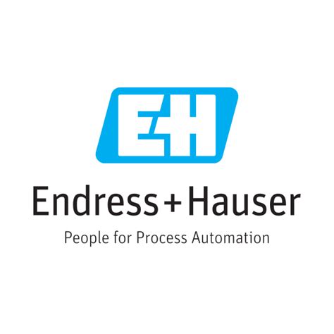 Logo Endress+Hauser
