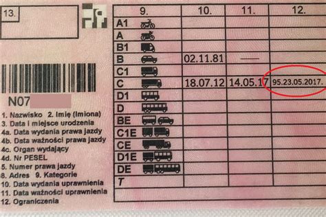 ikony symbolizujące prawo jazdy kat. D, kod 95 i badania lekarskie