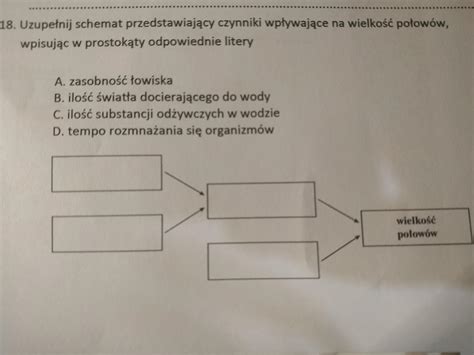 Schemat przedstawiający czynniki wpływające na stawkę WIBOR