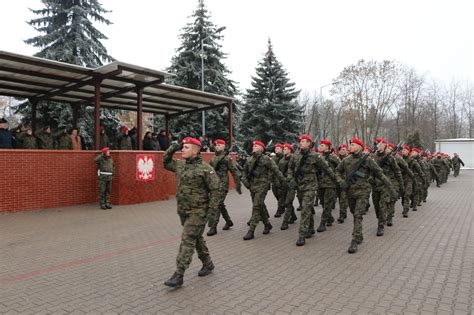 Schemat dobrowolnej zasadniczej służby wojskowej