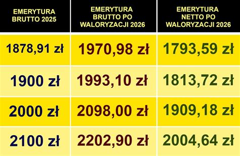 Wykres porównujący emeryturę brutto i netto