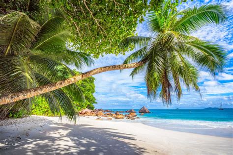Rajska plaża na jednej z wysp południowej Tajlandii