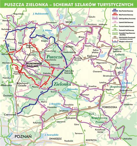 Mapa powiatu śremskiego z zaznaczonymi trasami wycieczek rowerowych