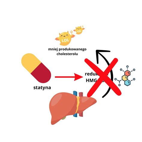 schemat przedstawiający zawartość cholesterolu w flaczkach