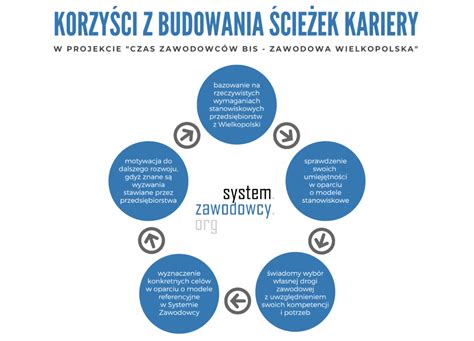 Grafika przedstawiająca różne ścieżki kariery psychologa