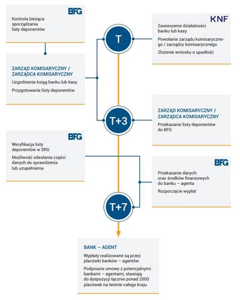 Schemat struktury Bankowego Funduszu Gwarancyjnego