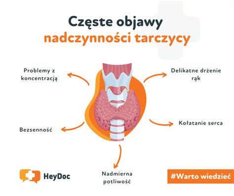 Ilustracja przedstawiająca objawy zapalenia żołędzi i napletka