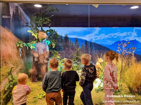 Centrum Edukacji Przyrodniczej w Chocińskim Młynie