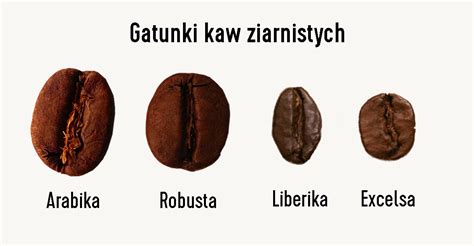 Porównanie ziaren kawy specialty i komercyjnej
