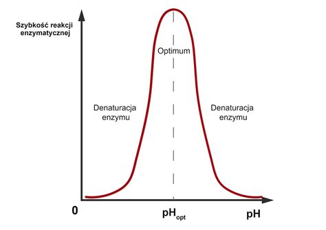 Grafika przedstawiająca zależność między inflacją a zatrudnieniem