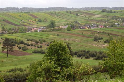 Krajobraz Bydgoszczy z zielonymi terenami