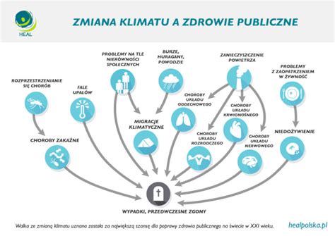 Infografika przedstawiająca cykl zmian klimatycznych i jego wpływ na ekosystemy leśne.